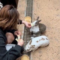 動物の世話係の画像