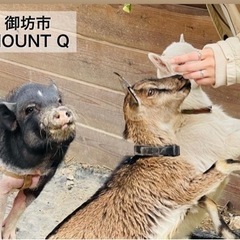 動物の世話係の画像