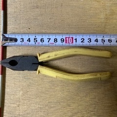 早い物勝ち　ニッパー13の画像