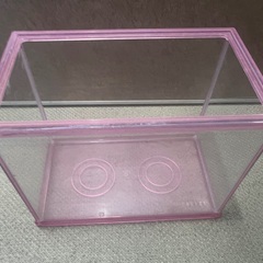 小型水槽 フレームピンク