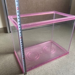 小型水槽 フレームピンク　値下げしましたの画像