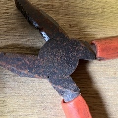 早い物勝ち　ニッパー18の画像