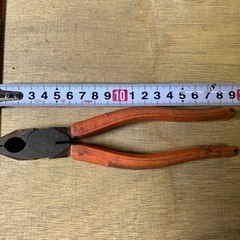 早い物勝ち　ニッパー18の画像