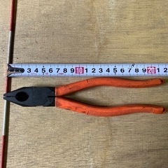 早い物勝ち　ニッパー19の画像