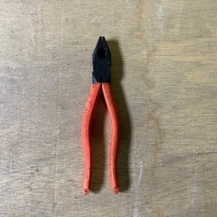 早い物勝ち　ニッパー19