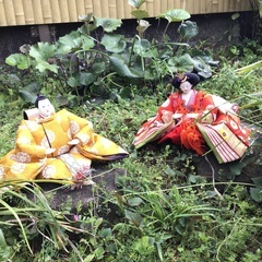 雛人形 7段の中古が安い！激安で譲ります・無料であげます(8