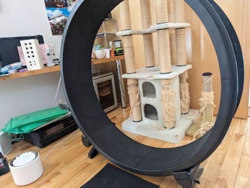 (中古)キャットホイール 猫用ランニングマシーン（ご予約済）
