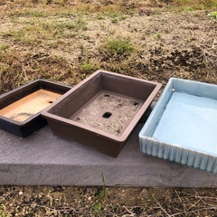 無料　お譲りします！盆栽鉢　３個セット　平型　長方形の画像