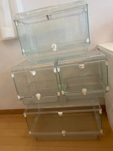 【大量】グラスハーモニー