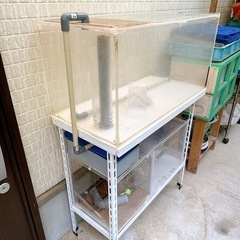 水槽の画像