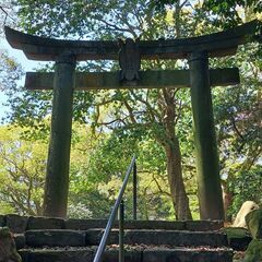 ヤッホ！！　一緒に食事をしながら英語と日本語を話しましょう！ - 友達