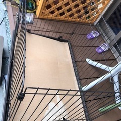 ゲージの画像