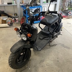 ホンダ　ズーマーの画像