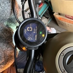 レブル250の画像