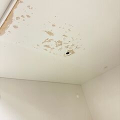  16867  NITORI 2枚ガラス扉キッチンボード   ◆大阪市内・東大阪市他 5,000円以上ご購入で無料配達いたします！◆ ※京都・高槻・枚方方面◆神戸・西宮・尼崎方面◆生駒方面、大阪南部方面　それぞれ条件付き無料配送あり！            