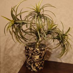 インテリア✿人工観葉植物✿②