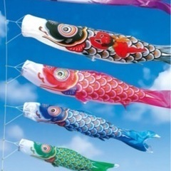 大きめの鯉のぼり4/25まで貸してください。
