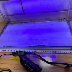50cm水槽　　GEXヒーター、ヒートナビSH80 ライトの画像