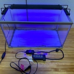50cm水槽　　GEXヒーター、ヒートナビSH80 ライトの画像
