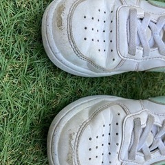 靴/バッグ 靴 スニーカーの画像