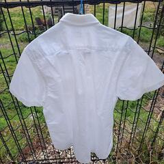 服/ファッション　良品計画 シャツ メンズM　白の画像