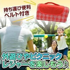 【新品】レジャーシートの画像