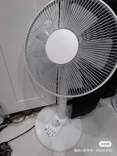 家電 季節、空調家電 扇風機