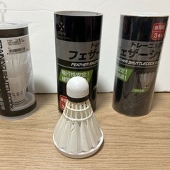 【決まりました】バドミントンラケットとシャトルの画像