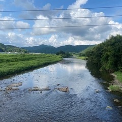 歩いて橋を渡る会