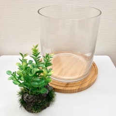 GEX 水槽 セット
