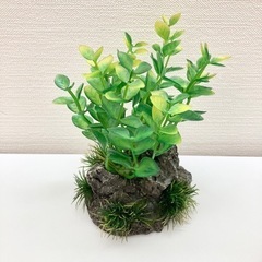 GEX 水槽 セットの画像