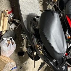 ホンダ　ライブディオの画像