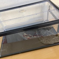 亀飼育セット
