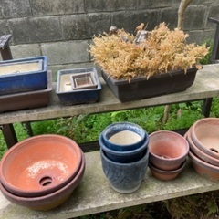 植木鉢　大小色々
