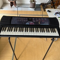 CASIO CTK-560L🎹