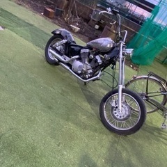 ビラーゴ250