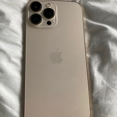 【限定値下げ】iPhone13promax 1TB