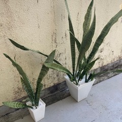 生活雑貨 家庭用品 ガーデニング