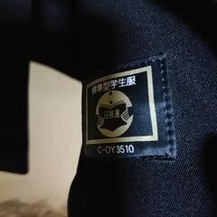 標準型学生服　KANKOの画像