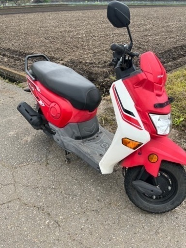 今月限定★ ホンダ HONDA cliq110 希少車
