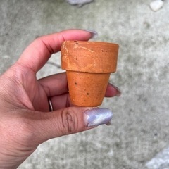 ミニ素焼鉢