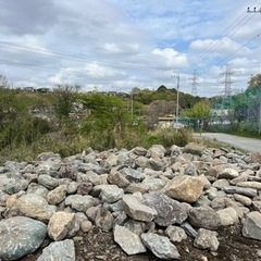【庭石を無料でプレゼント❗️】赤ボサ石、根府川石、相木石､小松石、青石　他の画像
