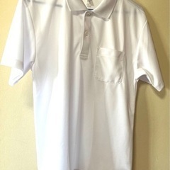 ポロシャツ Lサイズ 速乾 服/ファッション シャツ メンズ