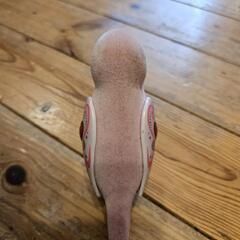 リトルライブペット　キューティバード　小鳥　カゴ

の画像