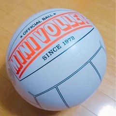 一緒にミニバレーやりませんか？？