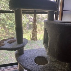 【お話中】キャットタワーの画像