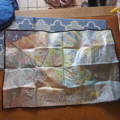 ポケモン敷物の画像