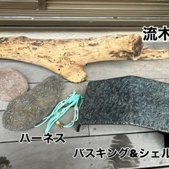 爬虫類ケージの画像