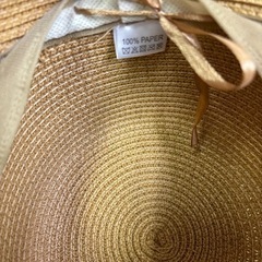 蝶ネクタイ 麦わら帽子の画像