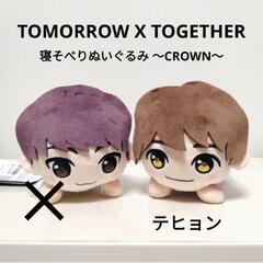 【新品】TOMORROW X TOGETHER  テヒョン 寝そ...